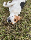 Lucy Lou