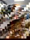Gus