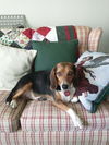Miss Molly G
