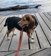 Miss Molly G