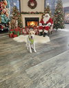 Alvin - Photo 3