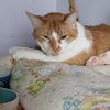Ruby - Photo 2
