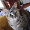 Holley - Photo 2
