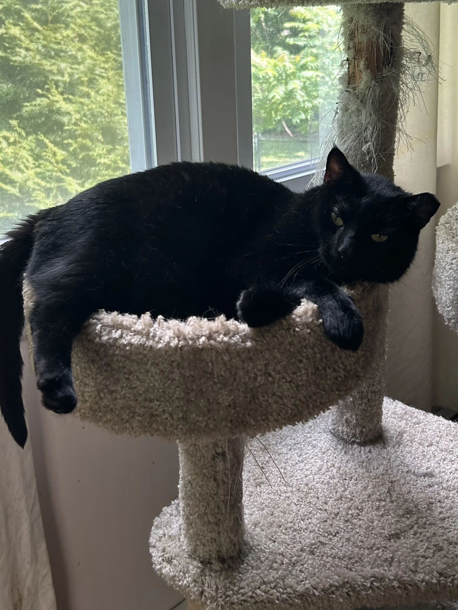 Ruggles