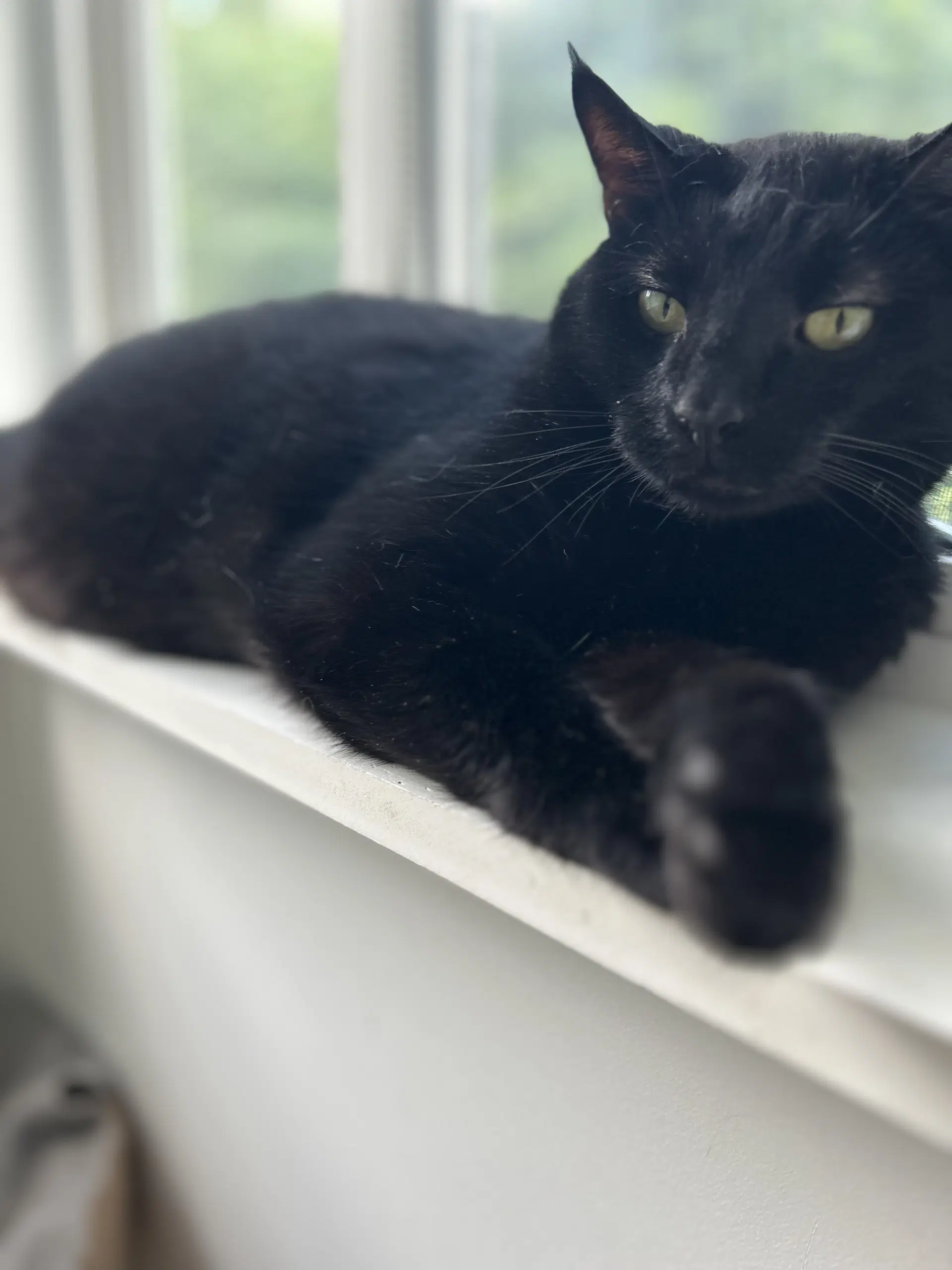 Ruggles image 2