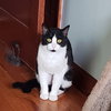 Cosimo - Photo 3