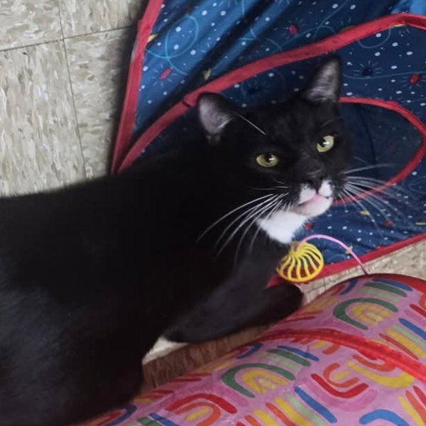 Onyx