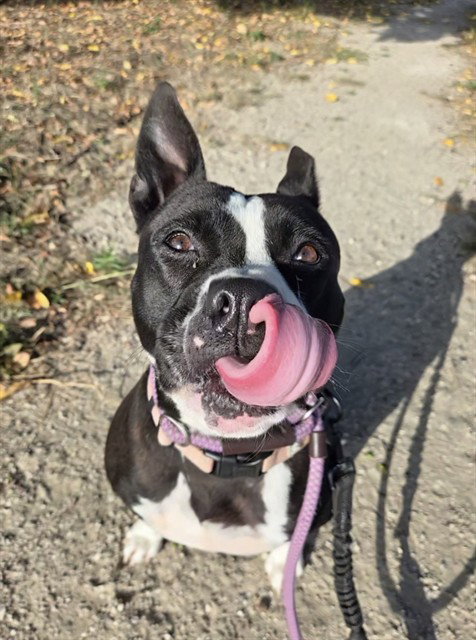 LUNA