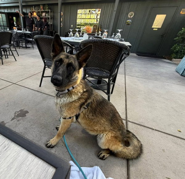 KODA