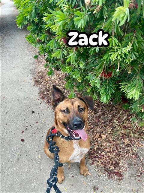 ZACK
