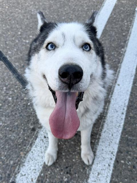 FINN
