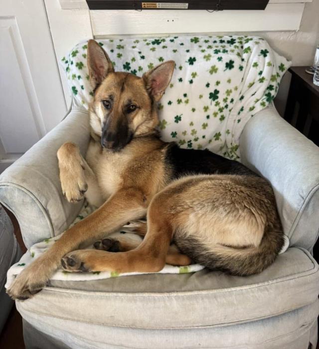Sophie