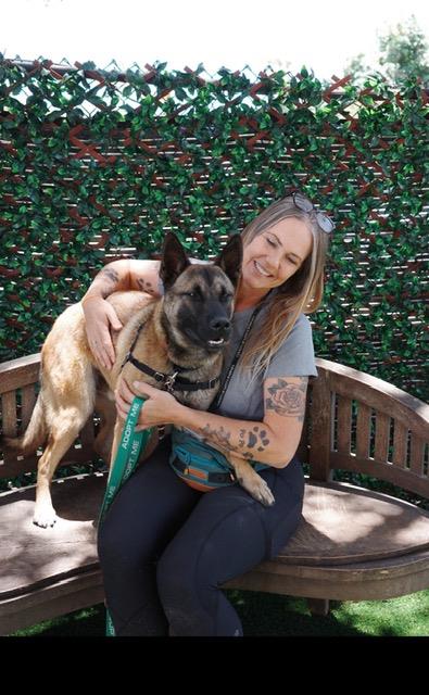 TYRONE, an adoptable Belgian Shepherd Malinois in Santa Maria, CA