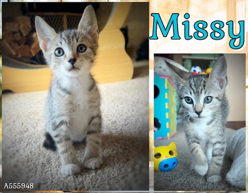 Missy