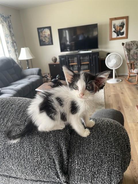 Timmy