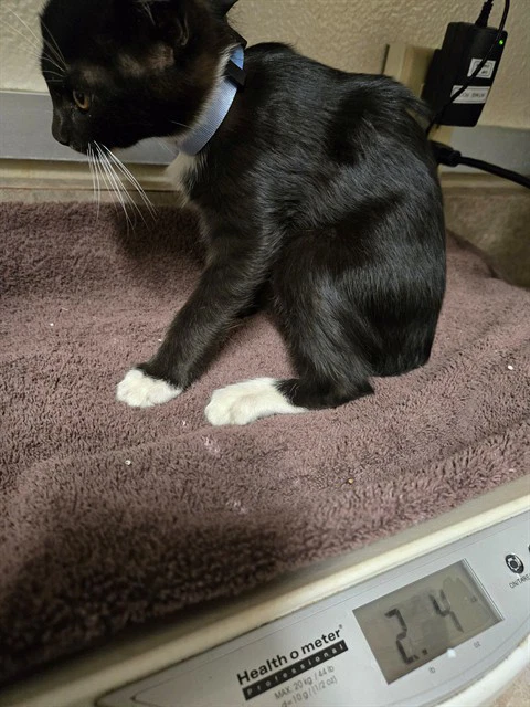 Marco