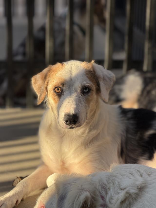 NORA