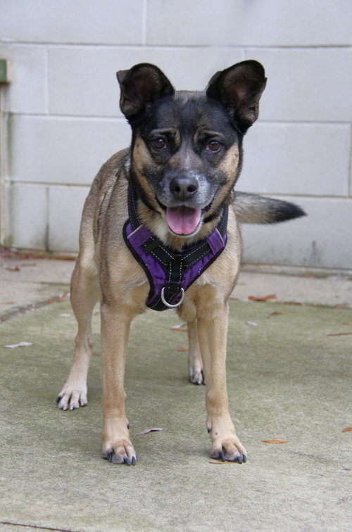 Luna, photo 14