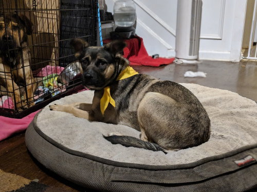 Luna, photo 17