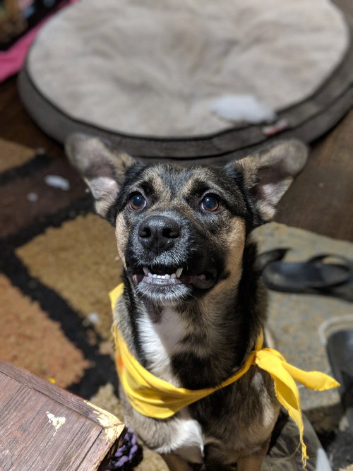 Luna, photo 18