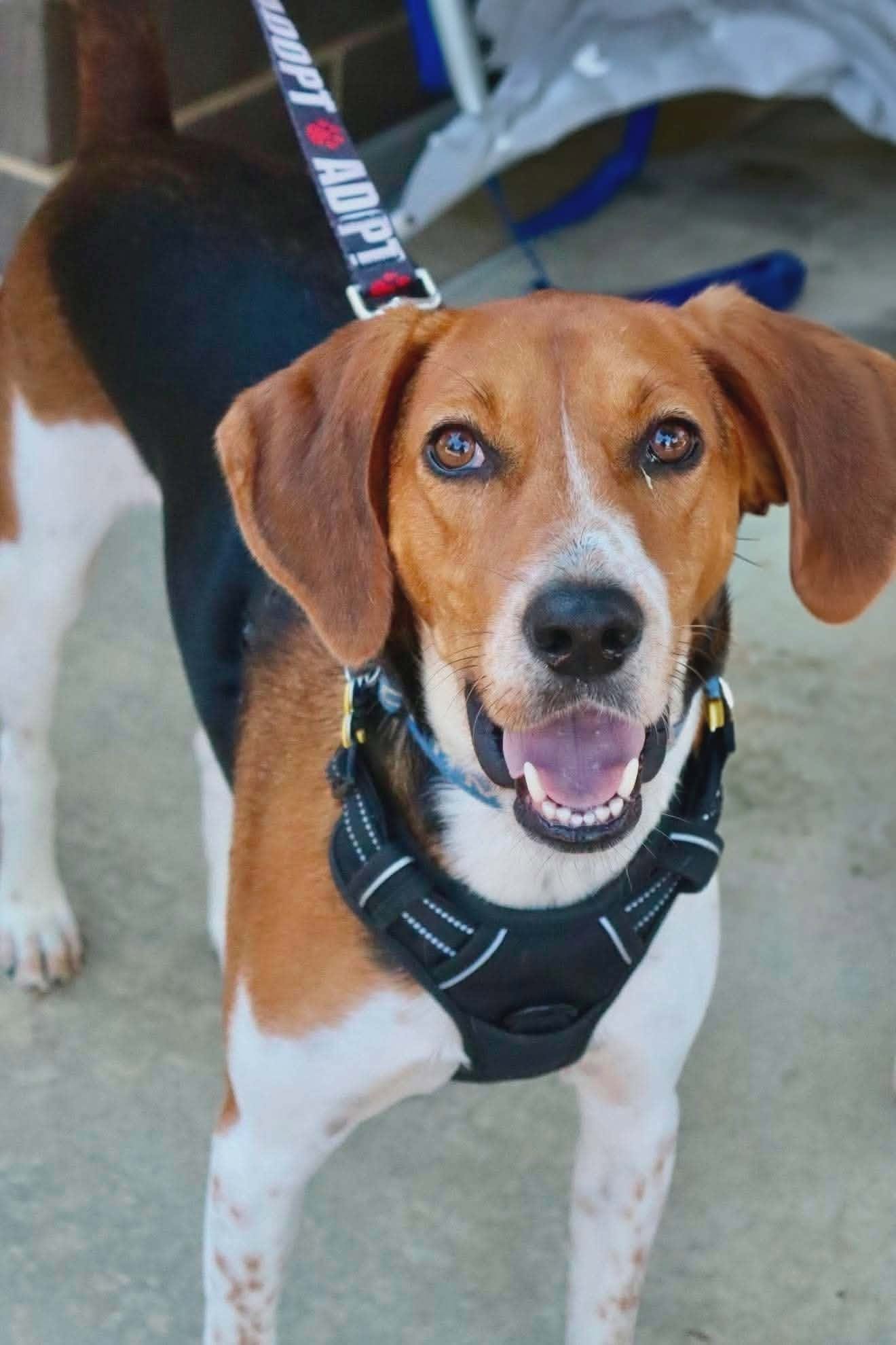 Winston Image