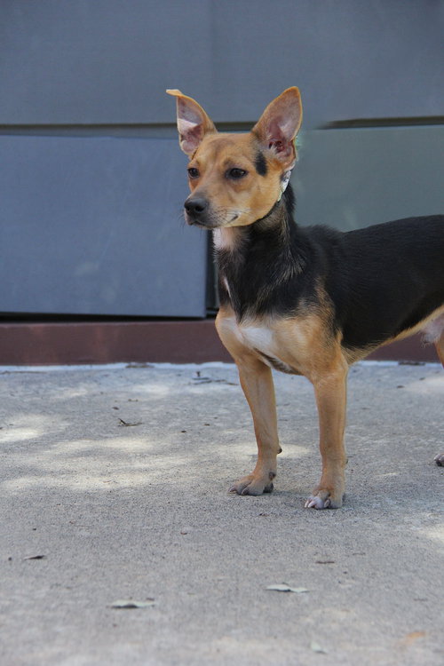 Photo 3 of Pilar