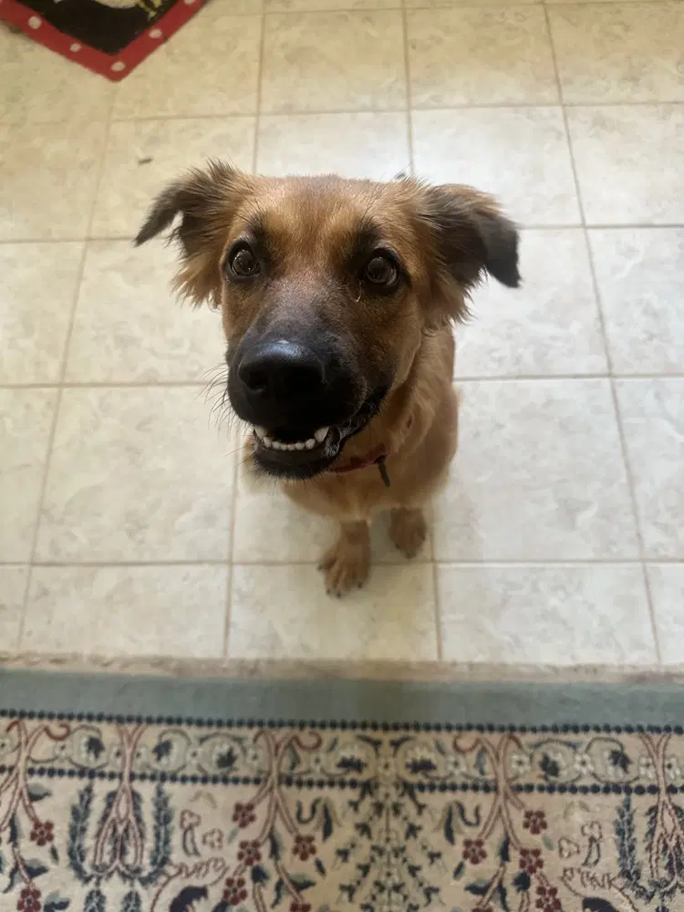 Donna image 3