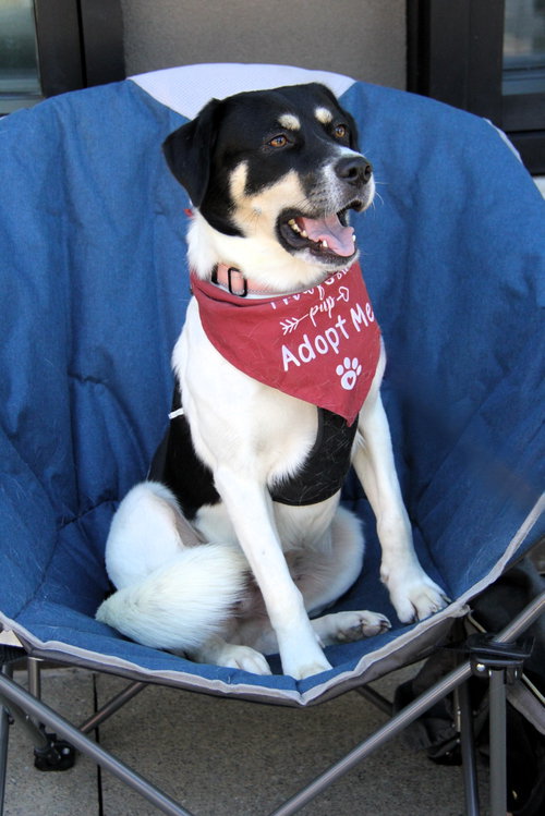 Photo 6 of Orla