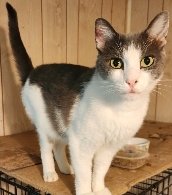Georgia Hope (Gus)