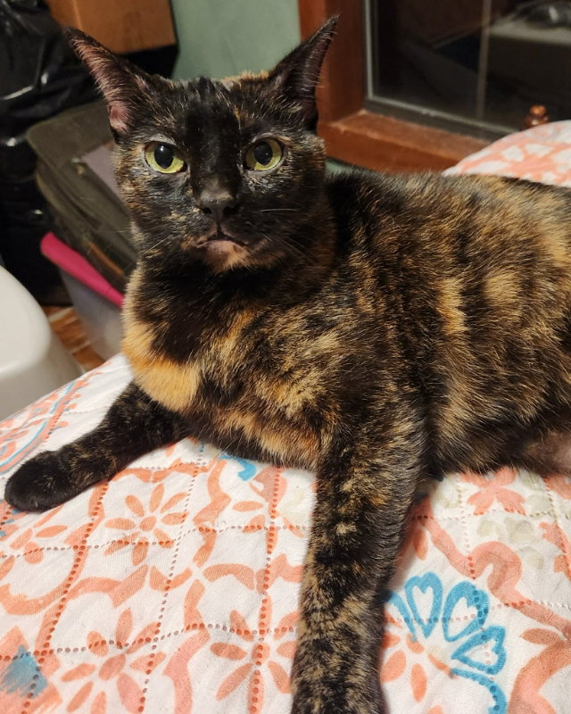 Kiki
