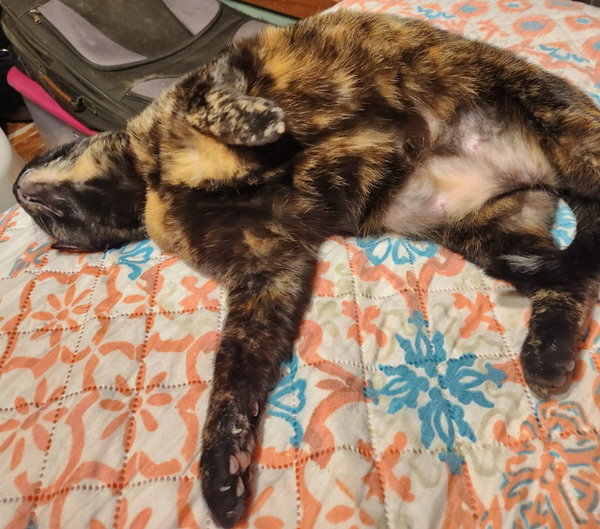 Kiki