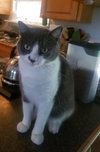 George - Photo 3