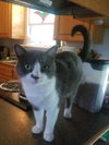 George - Photo 4