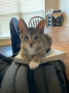 Socks - Photo 4