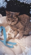 Ella - Photo 2