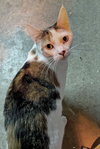 Mia - Photo 2