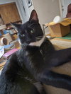 Charlie - Photo 1