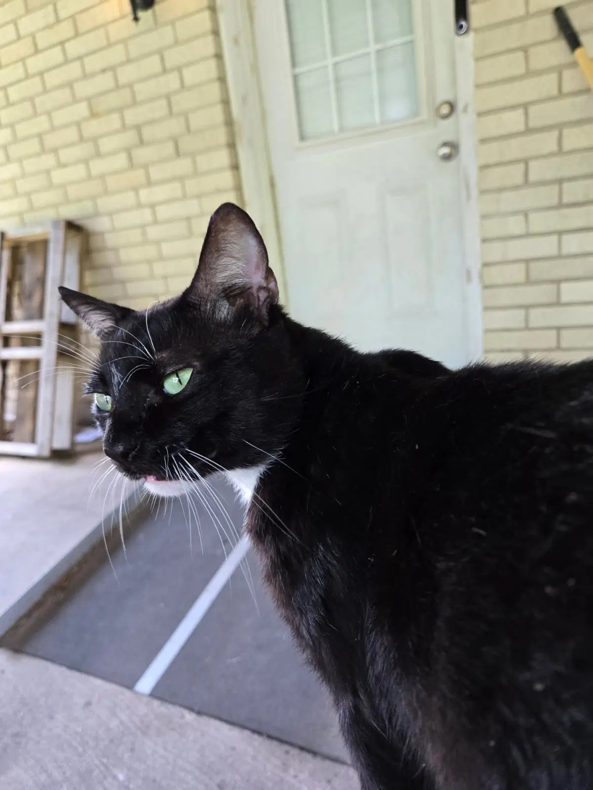 Charlie image 2