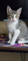 Aela - Photo 3