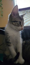 Aela - Photo 4