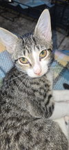 Aela - Photo 2