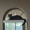 Little Girl - Photo 1