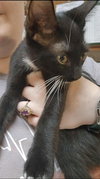Truman - Photo 2