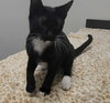 Truman - Photo 3