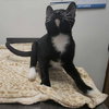 Truman - Photo 4