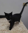 Truman - Photo 5