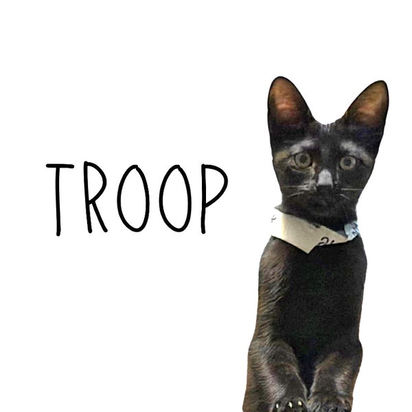 Troop