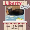 adoptable Cat in sumter, SC named Liberty
