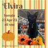 adoptable Cat in sumter, SC named Elvira
