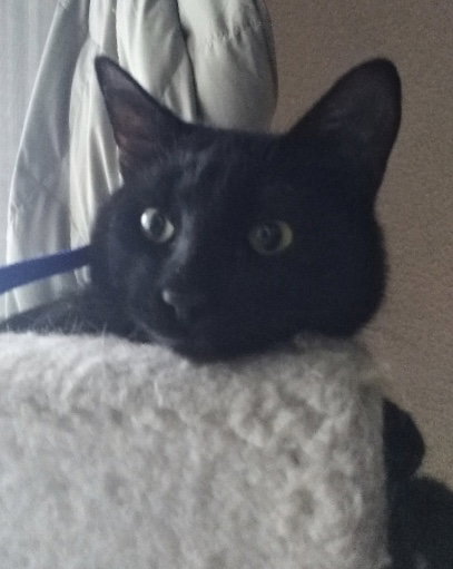 Buster